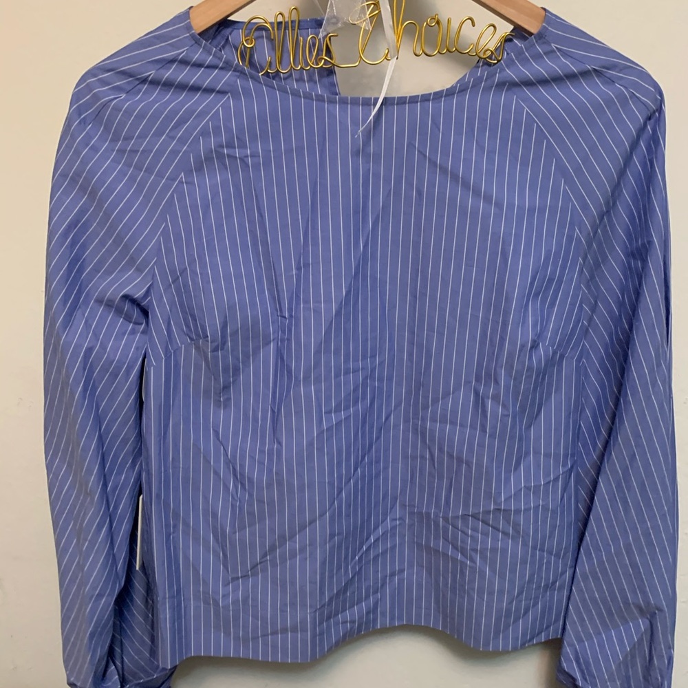NWT Babaton pearl stripe Niki blouse